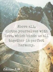 11822842_902120836500543_3758995258491728382_n